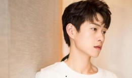 吃瓜娱乐圈任豪,娱乐圈的瓜田新秀，星光璀璨的蜕变之路